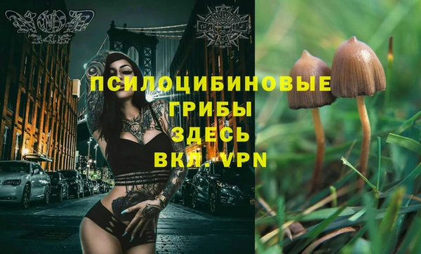 Альфа ПВП Карталы