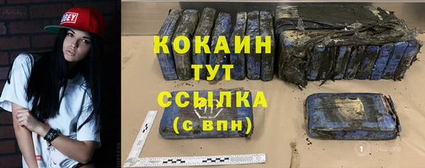 твердый Коряжма